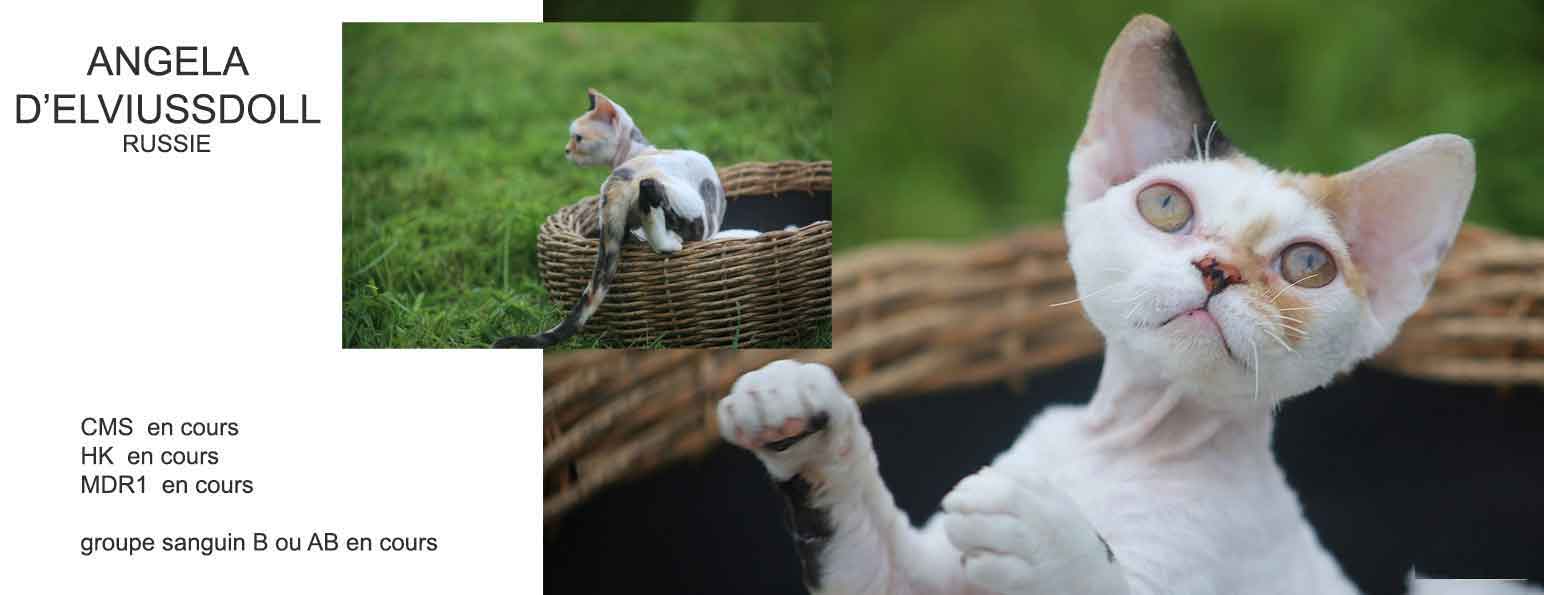 jquery carousel slider